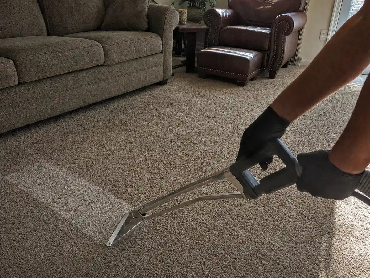 Steam Carpet Cleaning in Burbank, CA